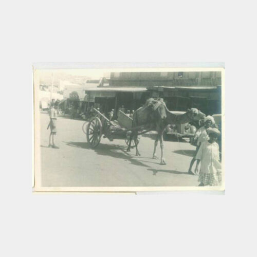 1960 Mısır Süveyş Kanalı Konulu 3 Adet Fotoğraf