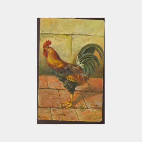 1930 Av ve Avcılık Konulu -Horoz- Kartpostal
