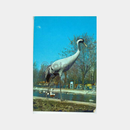 Av ve Avcılık Konulu -Turna- Kartpostal