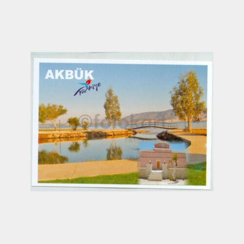 Didim Akbük - Doğal Su Kaynağı Görünüş Kartpostal