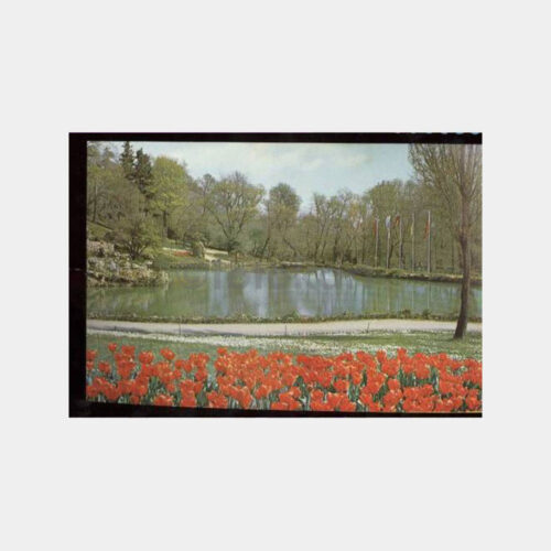 Emirgan Parkı Lale Çiçekler Kartpostal