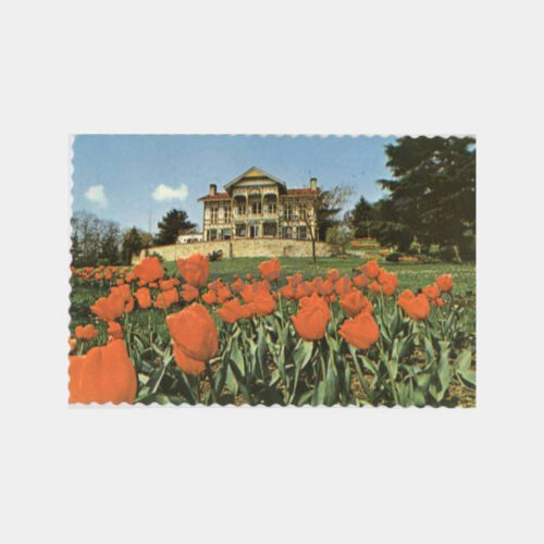 Emirgan Parkı Sarı Köşk Görünüş Kartpostal
