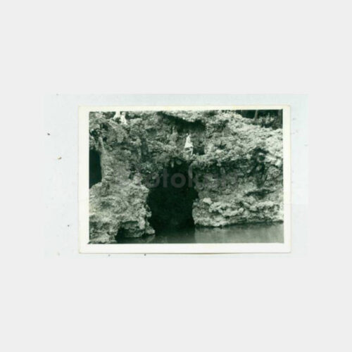 1956 Emirgan Parkı Görünüş Fotoğraf