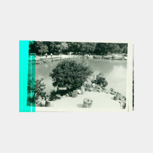 1956 Emirgan Parkı Görünüş Fotoğraf