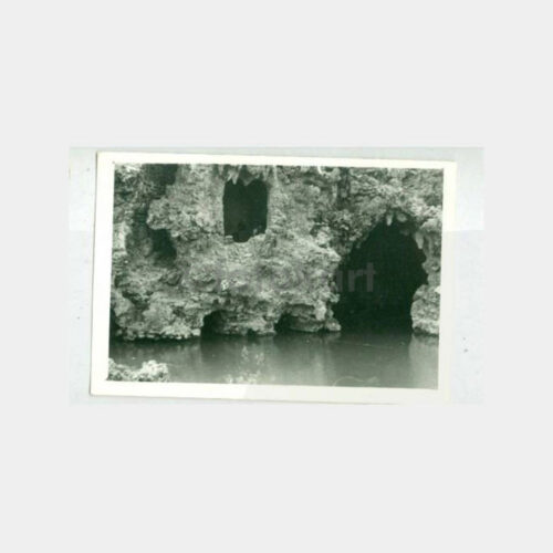 1956 Emirgan Parkı Görünüş Fotoğraf