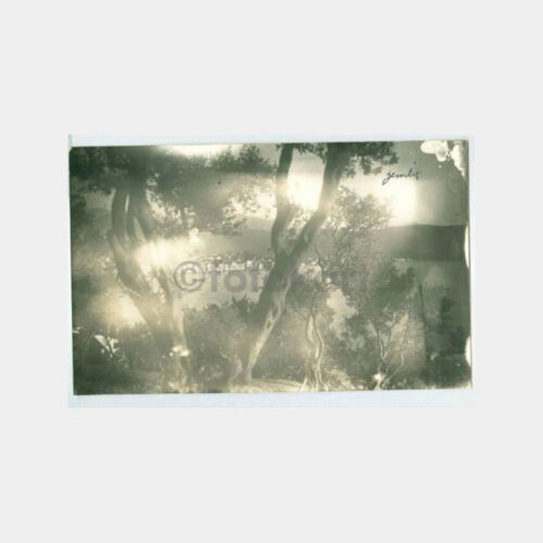 1930 Gemlik Konulu Fotoğraf