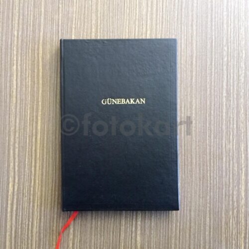 Günebakan - Hamdullah Suphi, 1929