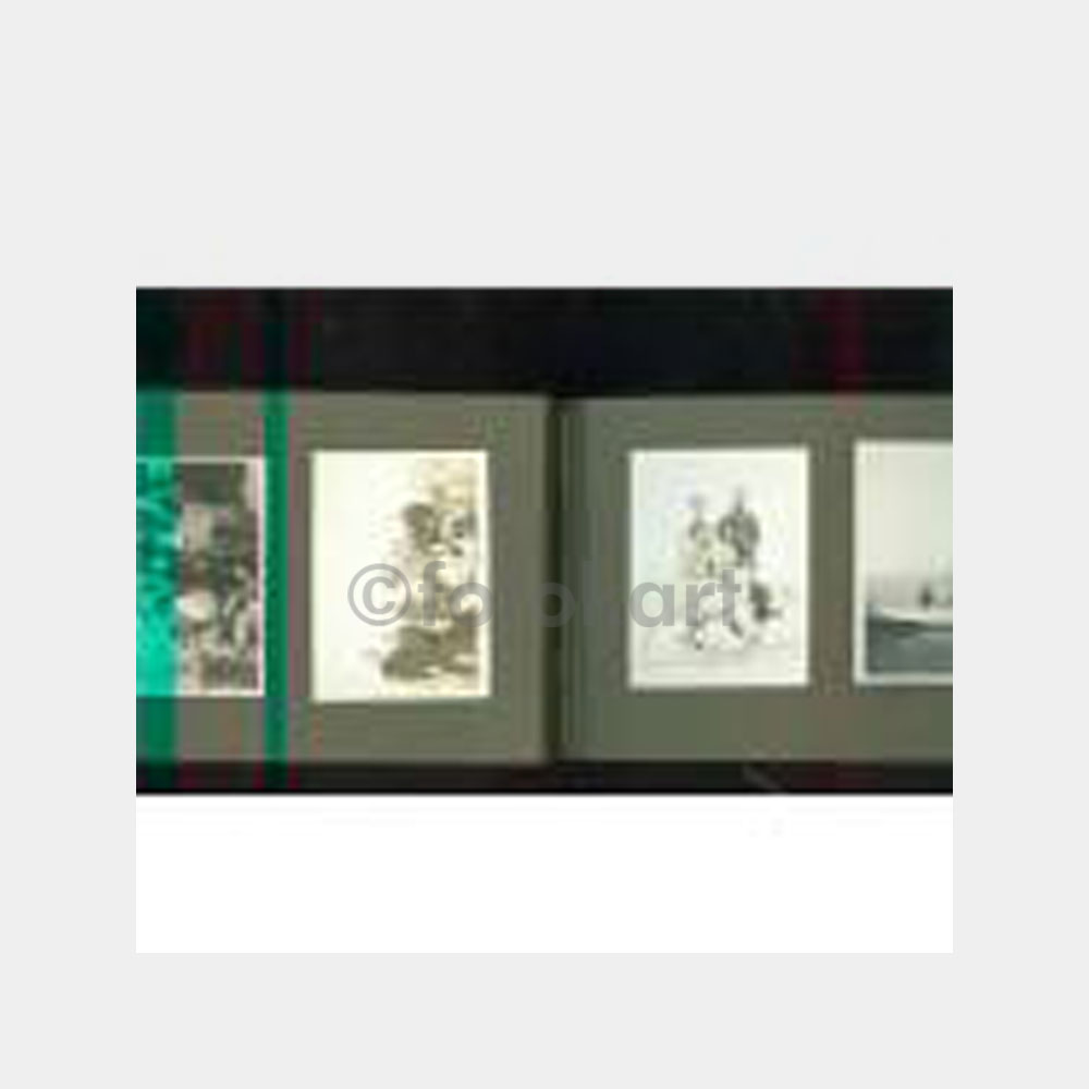 Siyah Cilt Albümü içinde 36 Adet Aile Fotoğraf - Görsel 4