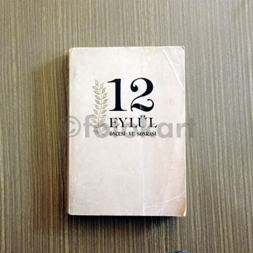 12 Eylül Öncesi ve Sonrası, 1981