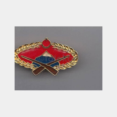 Dağ Sembolü Askeri Rozeti