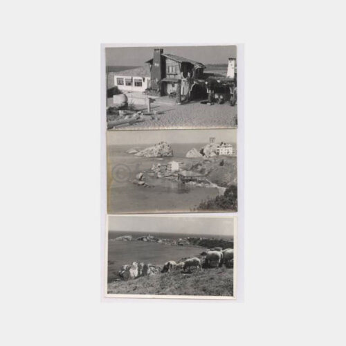 Şile Görünüşler 3 Adet Fotoğraf
