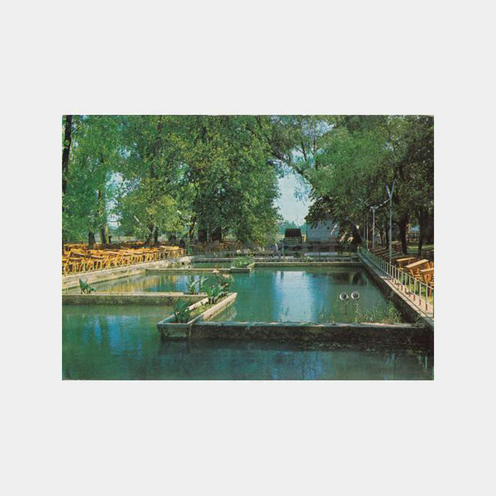 1971 Adapazarı Çark Suyu Mesiresi Kartpostal