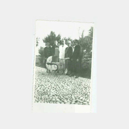 1940 Çocuk Arabası ve Şapkalı Kadın Aile Fotoğraf