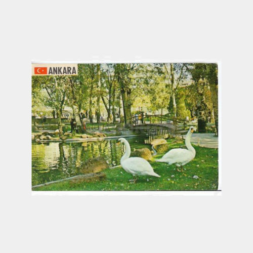 1973 Ankara Kuğulu Park Görünüş Kartpostal