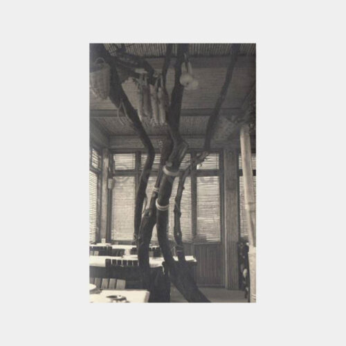 1963 Bursa Ada Palas Oteli Çardak Lokantası Fotoğraf