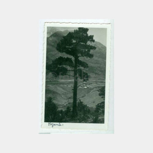 1948 Pozantı Köyleri Görünüş Fotoğraf