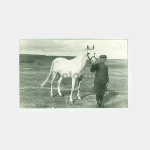 1930 Binek Atı Konulu Fotoğraf