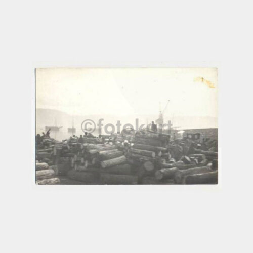 Ayancık Tomruk Nakliyatı Konulu Fotoğraf