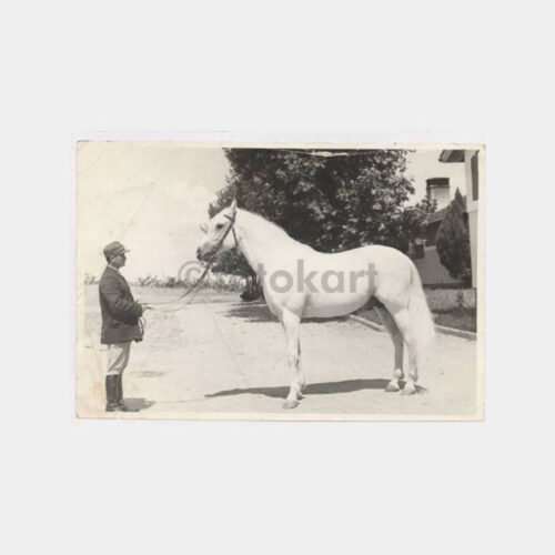 1935 Atçılık Şampiyon - Akşahin Fotoğraf