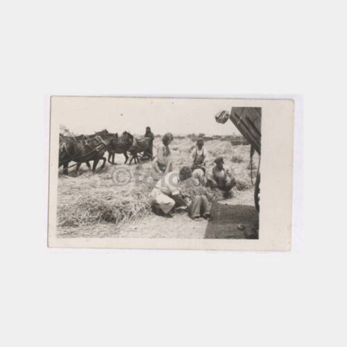 Köy Çiftlik Harman Konulu Fotoğraf