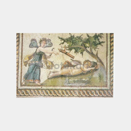 1973 Hatay Müzesi Eros Mozaiği Kartpostal