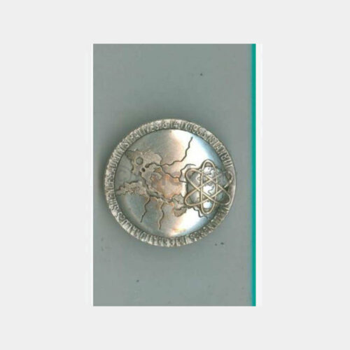 1953 İstanbul Kongre Konulu Gümüş Kaplama Rozet