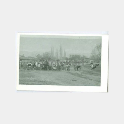 1966 Manisa Çanakçı Subası Görünüş Fotoğraf