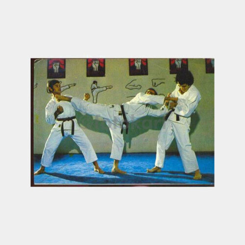 Karate Sporu Konulu Kartpostal