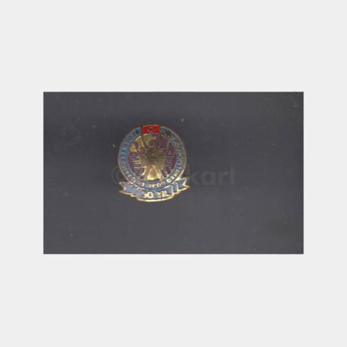 Beden Terbiyesi Spor GM 50 Yıl Rozeti