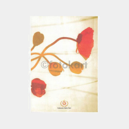 2011 Galatasaray Eğitim Vakfı Tebrik Kartı