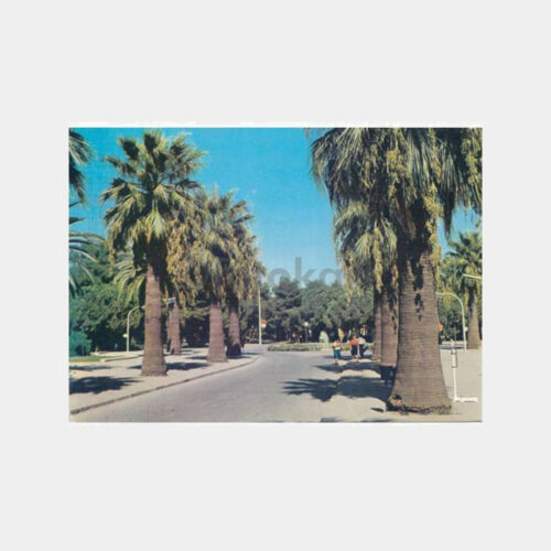 1978 İzmir Fuarı Palmiyeleri Görünüş Kartpostal