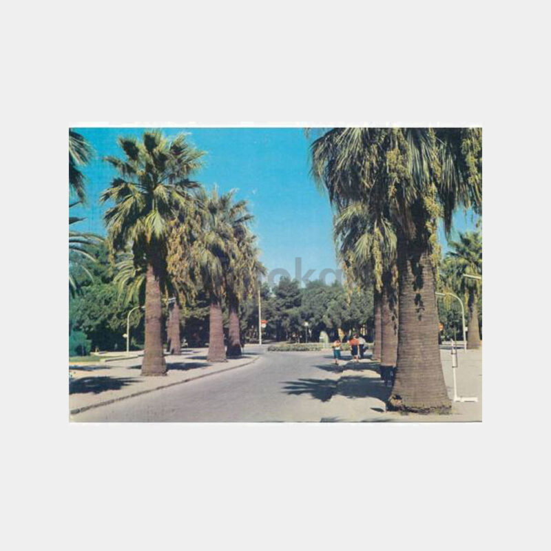 1978 İzmir Fuarı Palmiyeleri Görünüş Kartpostal