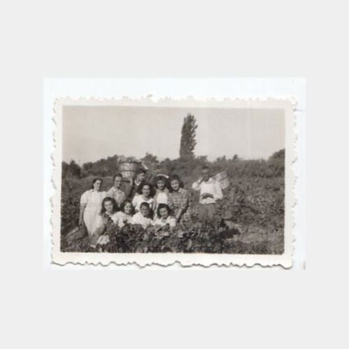 1948 Akhisar Üzüm Bağları Aile Konulu Fotoğraf