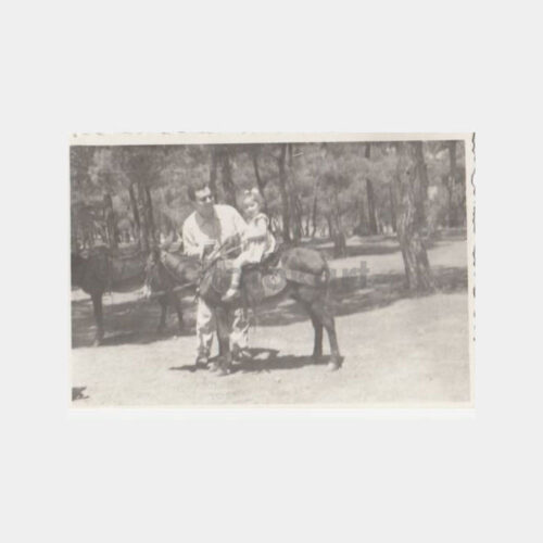 Büyükada Eşekli Gezi Konulu Fotoğraf