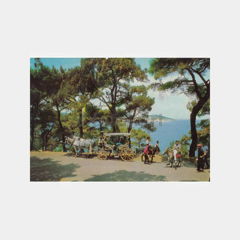 1966 Büyükada Adalar Fayton Gezisi Kartpostal
