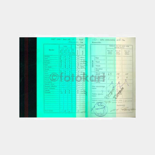 1938-1939 İstanbul Kız Lisesi Okul Karnesi