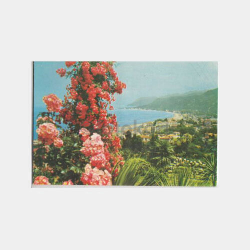 1974 Rize Genel Görünüş Kartpostal