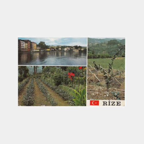 1974 Rize 3 Değişik Görünüş Kartpostal