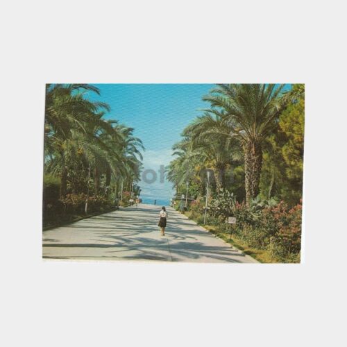 1978 Antalya Park Görünüş Kartpostal