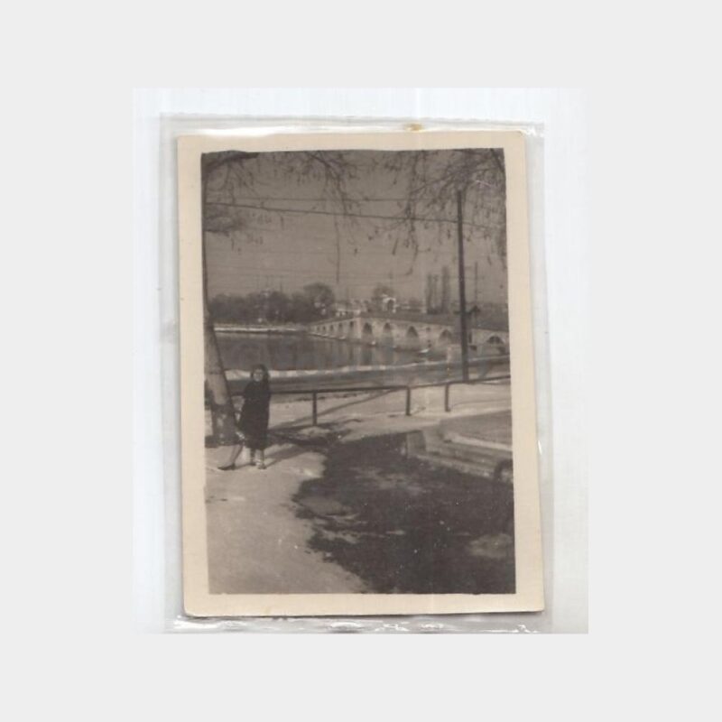 Edirne Meriç Köprüsü Kıyısında Konulu Fotoğraf