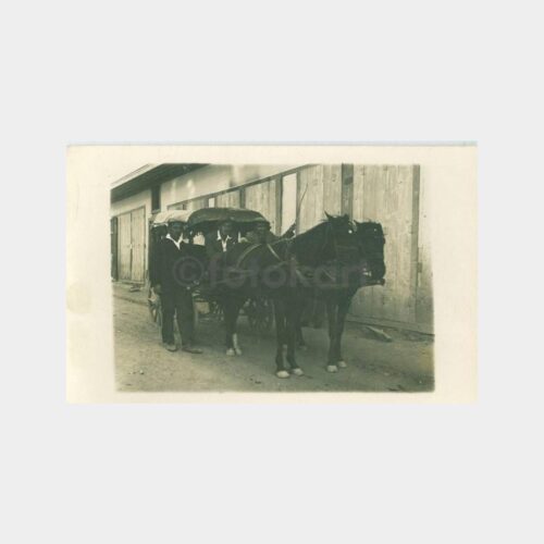 1930 Fayton - At Arabası Görünüş Fotoğraf