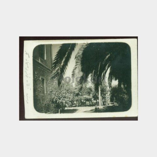 1930 Tarihi Bina Bahçesi Görünüş Fotoğraf