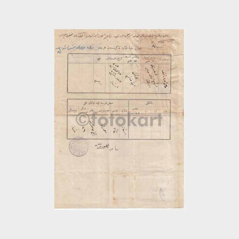 1918 Üsküdar İttihad Sultanisi Okul Diploması - Görsel 2
