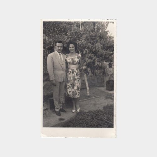 1954 Aile Konulu Fotoğraf