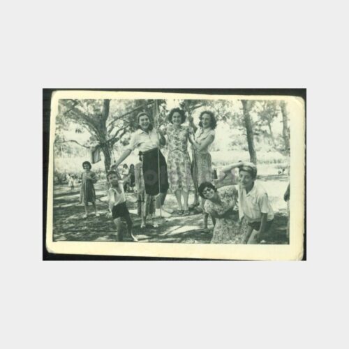 1950 Piknik Eğlence Aile Görünüş Fotoğraf