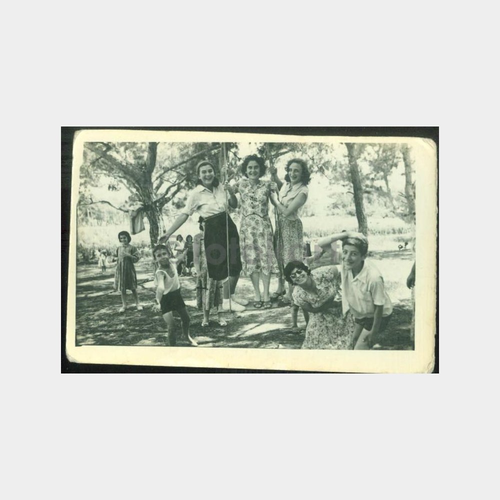 1950 Piknik Eğlence Aile Görünüş Fotoğraf