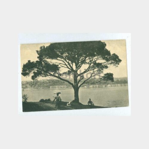 1920 Beylerbeyi'nden Çırağan Görünüş Kartpostal