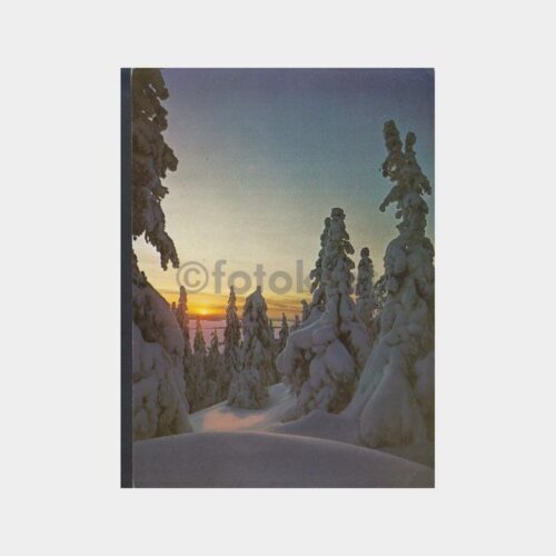 1978 Bursa Uludağ Kış Görünüş Kartpostal