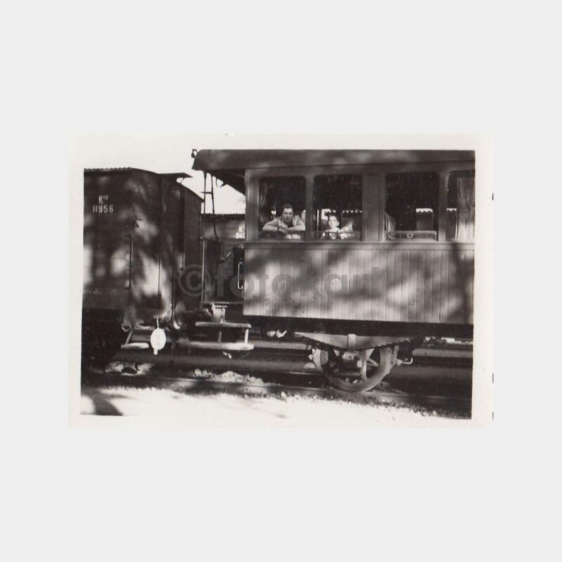 Bursa-Mudanya Treni Penceresinden Fotoğraf