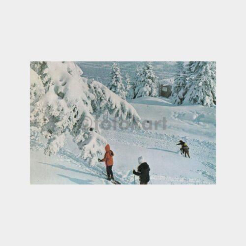 1975 Bursa Uludağ Konulu Kartpostal